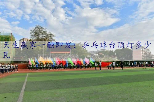 乒乓球台顶灯多少瓦 乒乓球台顶灯多少瓦