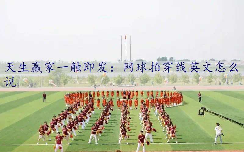 网球拍穿线英文怎么说