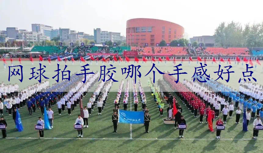 网球拍手胶哪个手感好点