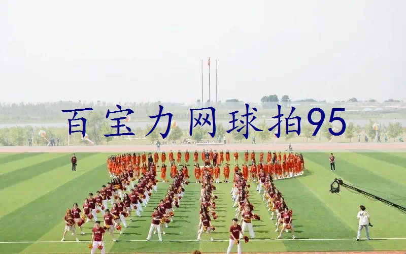 百宝力网球拍95