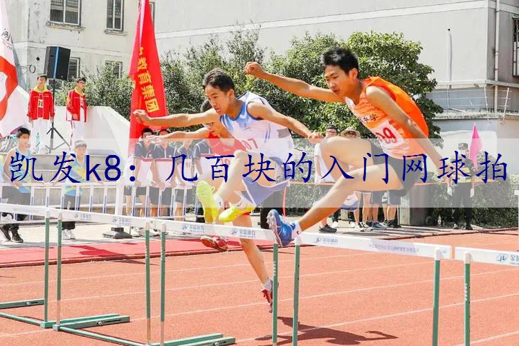 几百块的入门网球拍