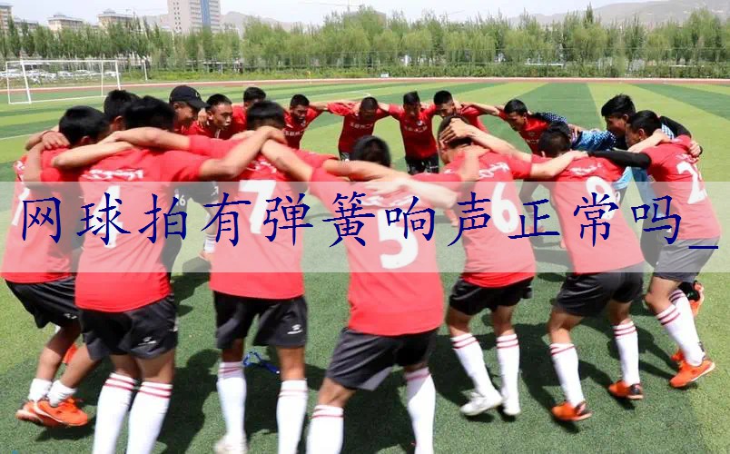 网球拍有弹簧响声正常吗_