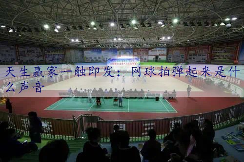网球拍弹起来是什么声音