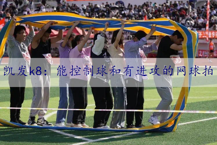 能控制球和有进攻的网球拍