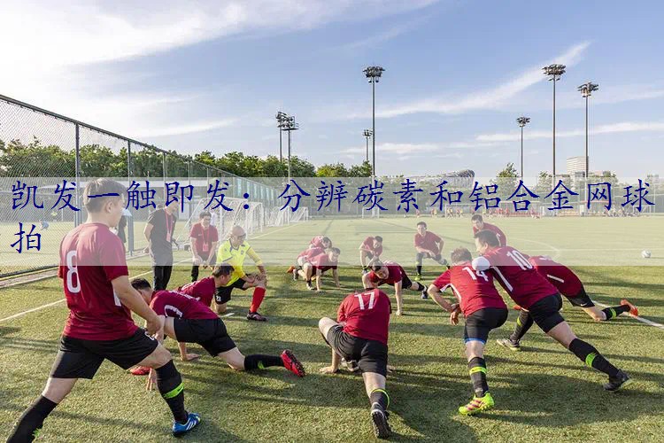 分辨碳素和铝合金网球拍