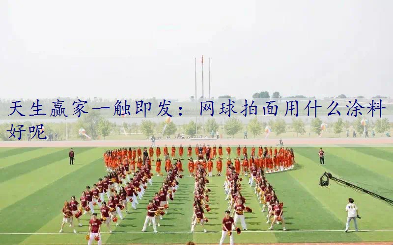 网球拍面用什么涂料好呢
