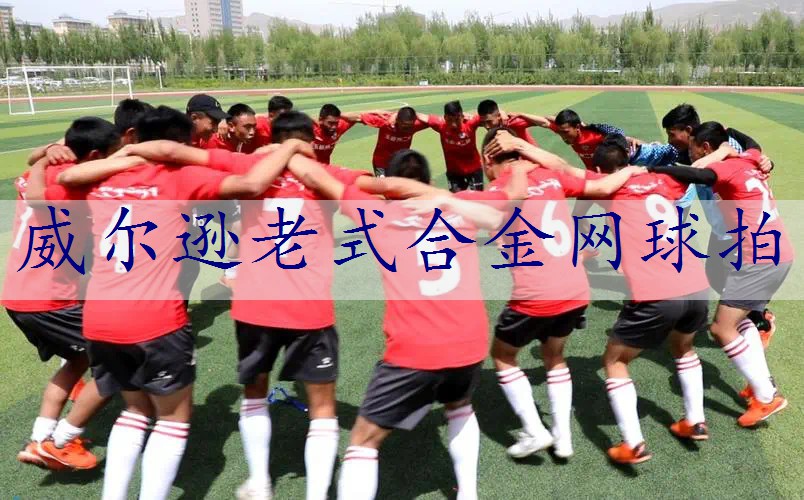 威尔逊老式合金网球拍