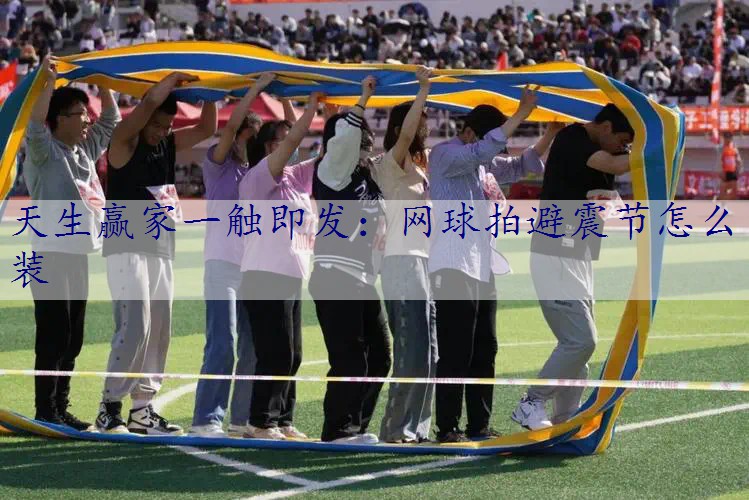 网球拍避震节怎么装