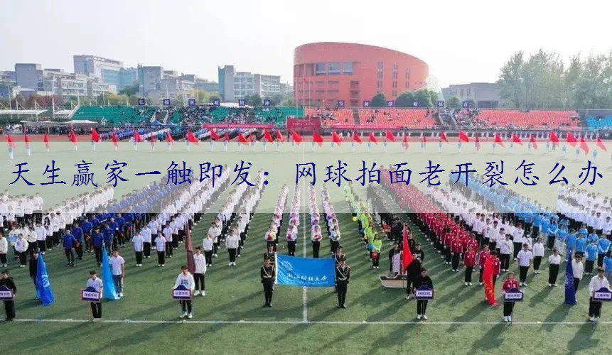 网球拍面老开裂怎么办