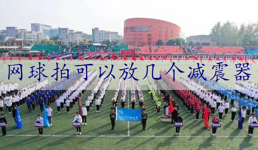 网球拍可以放几个减震器