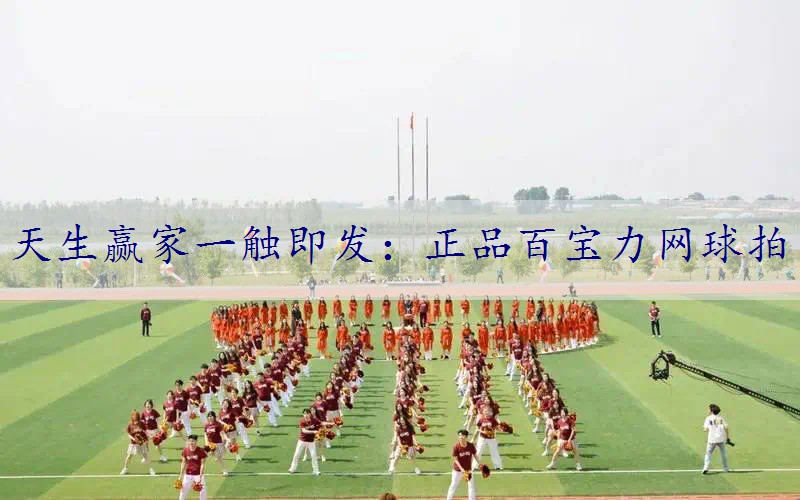 正品百宝力网球拍