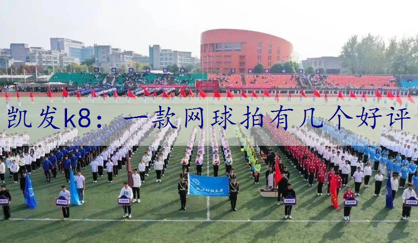 一款网球拍有几个好评
