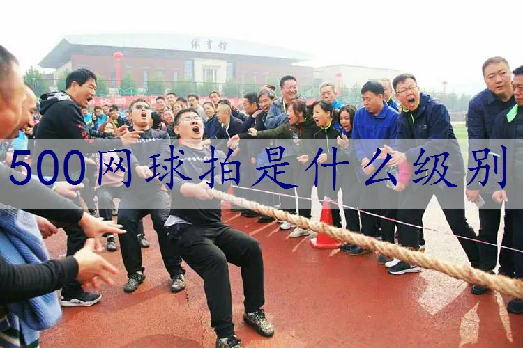 500网球拍是什么级别