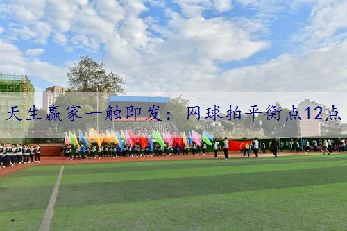 网球拍平衡点12点