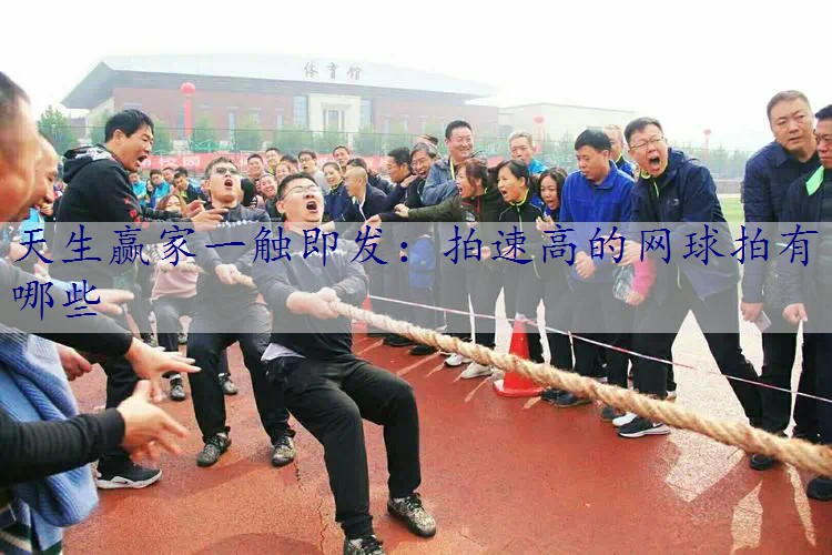 拍速高的网球拍有哪些