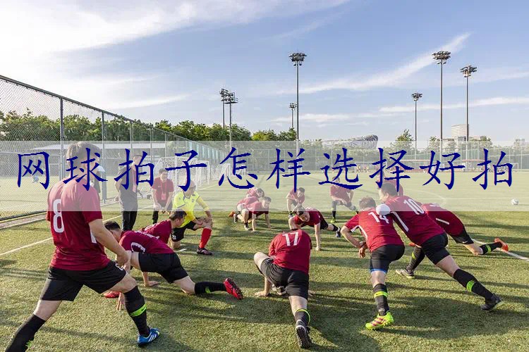 网球拍子怎样选择好拍