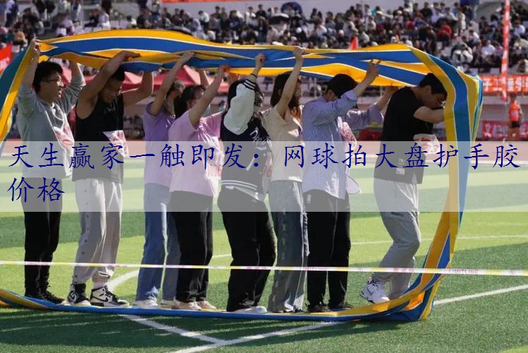 网球拍大盘护手胶价格