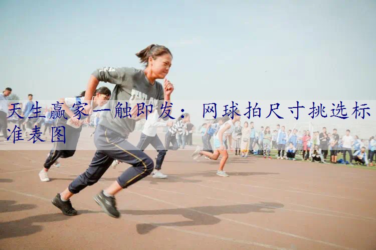 网球拍尺寸挑选标准表图