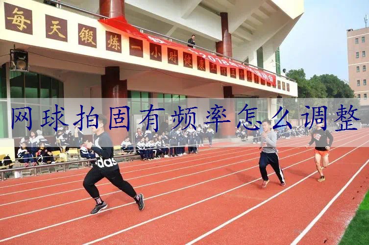 网球拍固有频率怎么调整