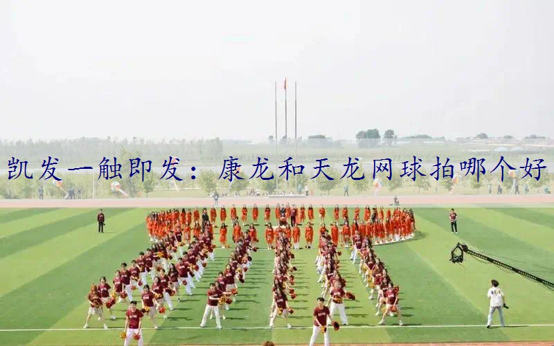 康龙和天龙网球拍哪个好