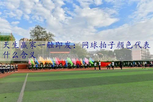 网球拍子颜色代表什么含义
