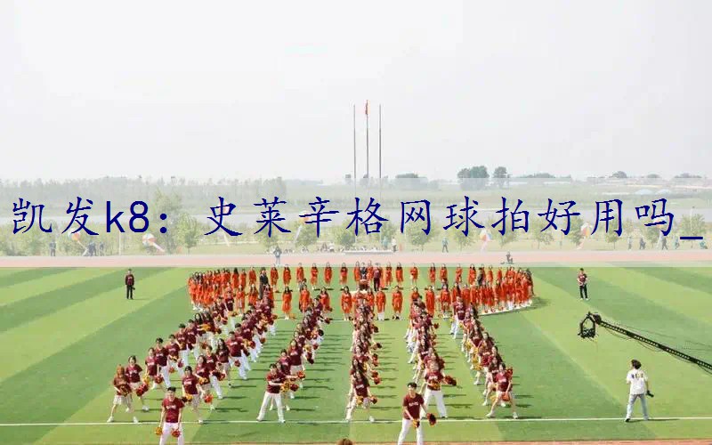 史莱辛格网球拍好用吗_