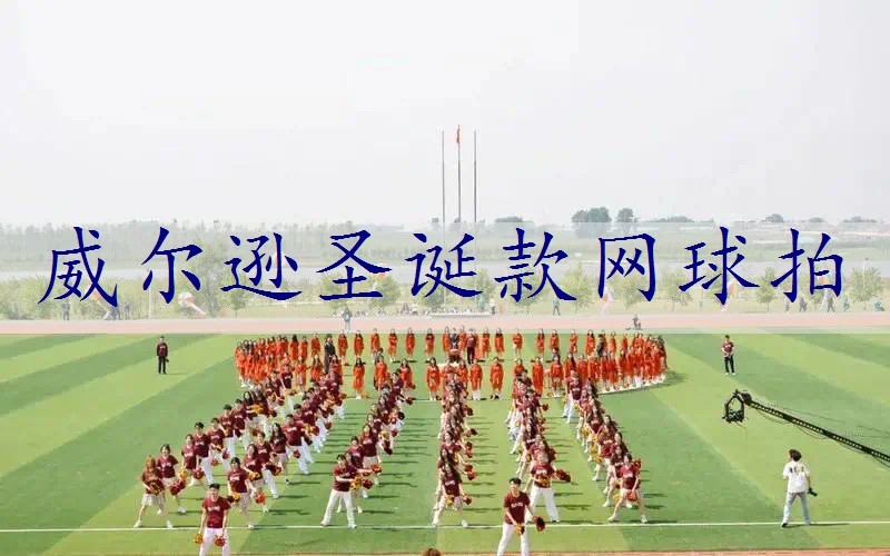 威尔逊圣诞款网球拍