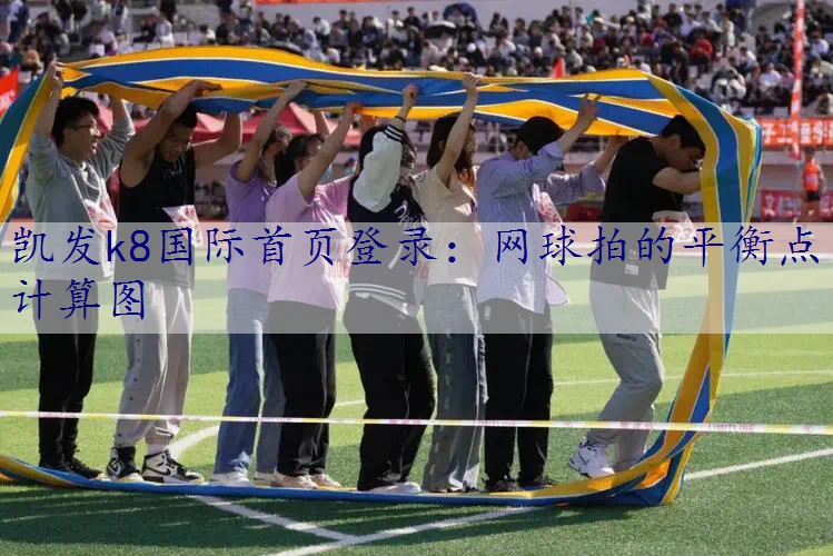 网球拍的平衡点计算图