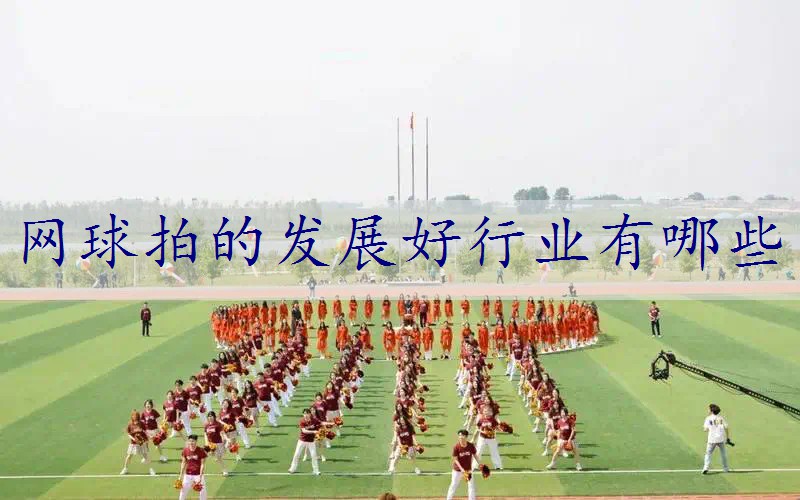 网球拍的发展好行业有哪些
