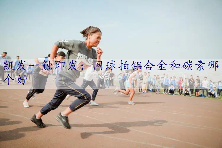 网球拍铝合金和碳素哪个好