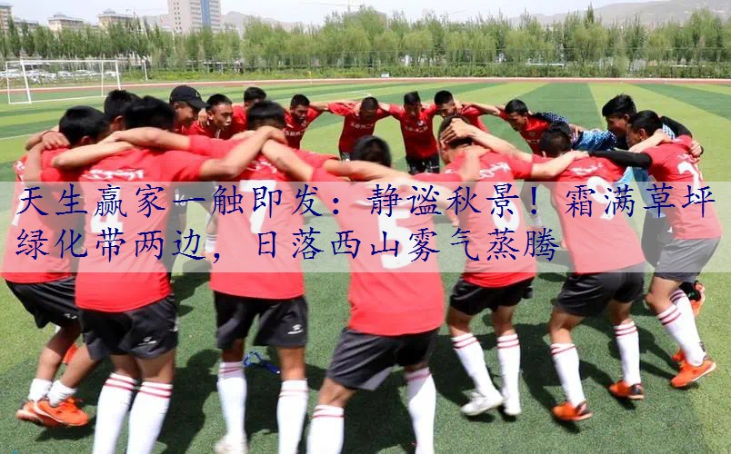 静谧秋景！霜满草坪绿化带两边，日落西山雾气蒸腾