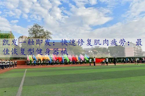 快速修复肌肉疲劳：最佳恢复型健身器械